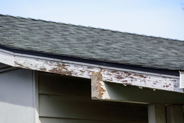 Worcester Wood Rot Repair