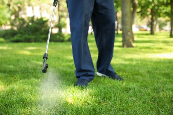 Worcester Lawn Treatment