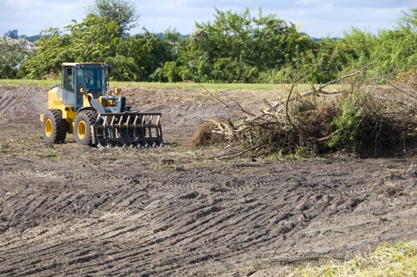Worcester Land Clearing