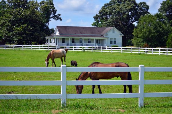 Worcester Fence Service